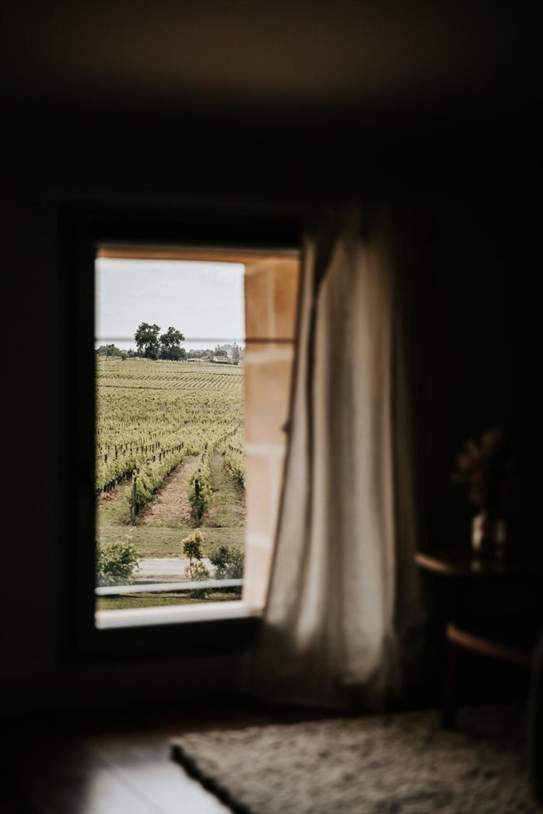 Chateau La Grande Clotte Lussac  客房 照片